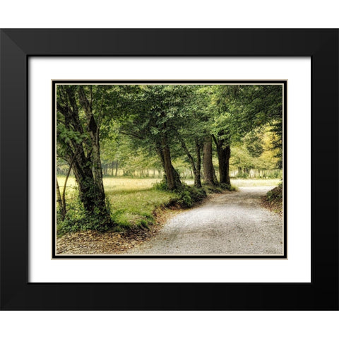 Path in the Country Black Modern Wood Framed Art Print with Double Matting by Head, Danny
