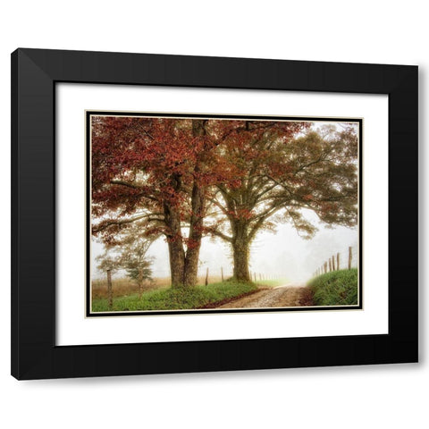 Two Oaks Black Modern Wood Framed Art Print with Double Matting by Head, Danny