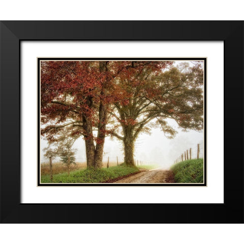 Two Oaks Black Modern Wood Framed Art Print with Double Matting by Head, Danny