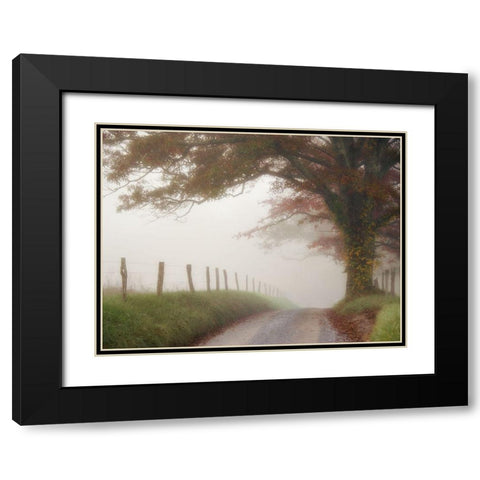 Blanket of Fog Black Modern Wood Framed Art Print with Double Matting by Head, Danny