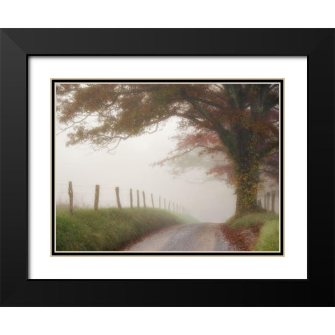 Blanket of Fog Black Modern Wood Framed Art Print with Double Matting by Head, Danny