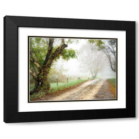 Feel the Silence Black Modern Wood Framed Art Print with Double Matting by Head, Danny