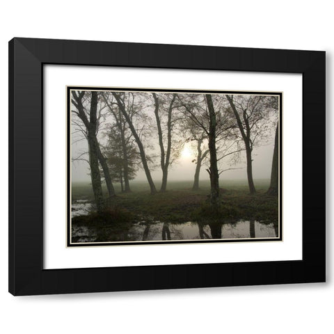 Reflections of Nature Black Modern Wood Framed Art Print with Double Matting by Head, Danny