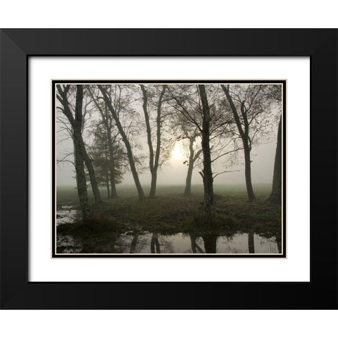 Reflections of Nature Black Modern Wood Framed Art Print with Double Matting by Head, Danny