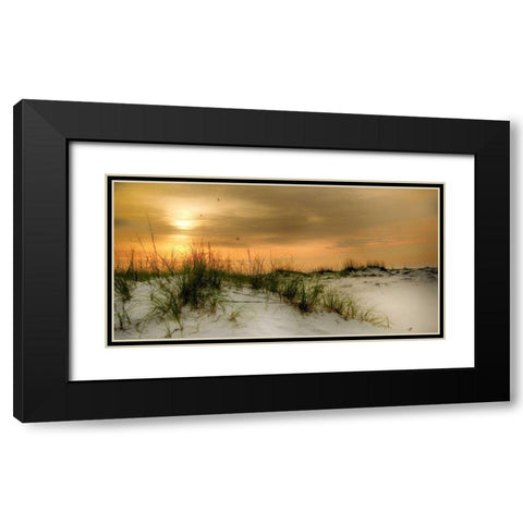 Seagulls at Sunrise Black Modern Wood Framed Art Print with Double Matting by Head, Danny
