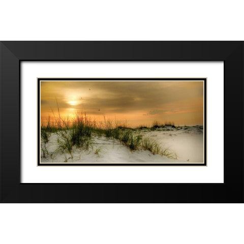 Seagulls at Sunrise Black Modern Wood Framed Art Print with Double Matting by Head, Danny