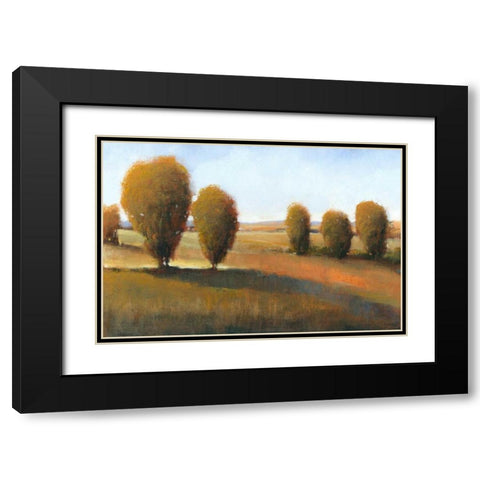 Afternoon Light I Black Modern Wood Framed Art Print with Double Matting by OToole, Tim