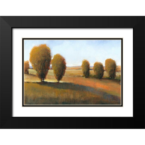 Afternoon Light I Black Modern Wood Framed Art Print with Double Matting by OToole, Tim