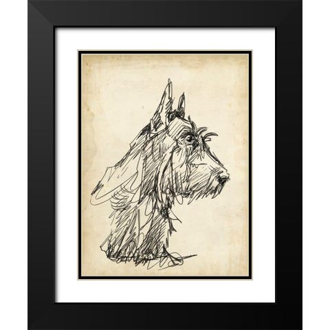 Breed Studies I Black Modern Wood Framed Art Print with Double Matting by Harper, Ethan