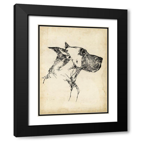 Breed Studies IV Black Modern Wood Framed Art Print with Double Matting by Harper, Ethan