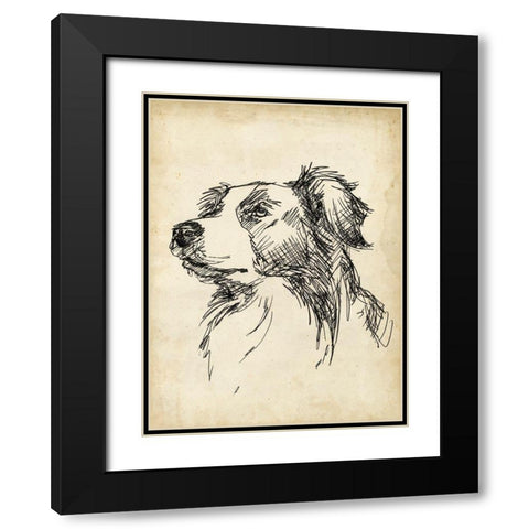 Breed Studies IX Black Modern Wood Framed Art Print with Double Matting by Harper, Ethan