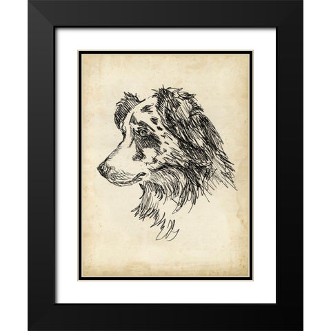 Breed Studies XI Black Modern Wood Framed Art Print with Double Matting by Harper, Ethan
