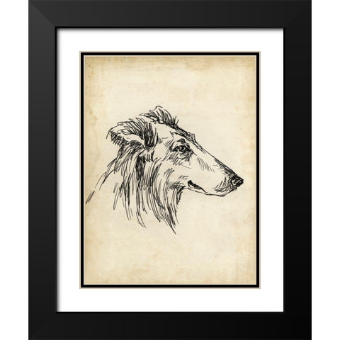 Breed Studies XII Black Modern Wood Framed Art Print with Double Matting by Harper, Ethan