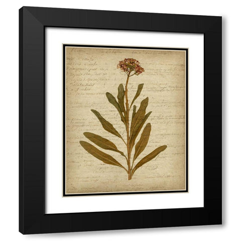 Romantic Pressed Flowers II Black Modern Wood Framed Art Print with Double Matting by Goldberger, Jennifer