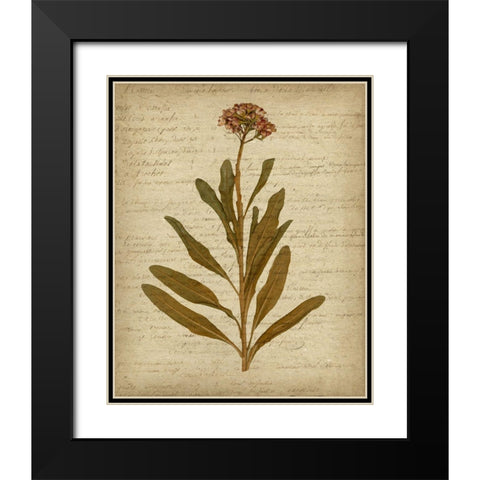 Romantic Pressed Flowers II Black Modern Wood Framed Art Print with Double Matting by Goldberger, Jennifer