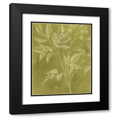 Modern Botany V Black Modern Wood Framed Art Print with Double Matting by Vision Studio