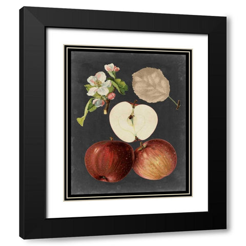 Midnight Harvest I Black Modern Wood Framed Art Print with Double Matting by Vision Studio