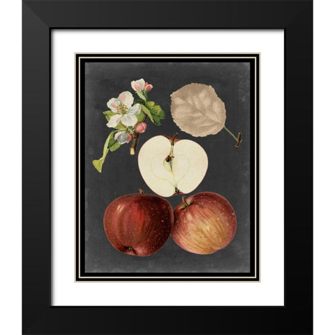 Midnight Harvest I Black Modern Wood Framed Art Print with Double Matting by Vision Studio