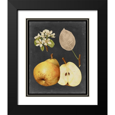 Midnight Harvest IV Black Modern Wood Framed Art Print with Double Matting by Vision Studio