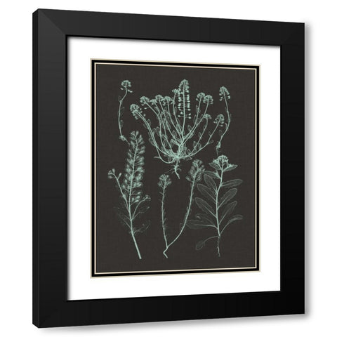 Mint and Charcoal Nature Study III Black Modern Wood Framed Art Print with Double Matting by Vision Studio