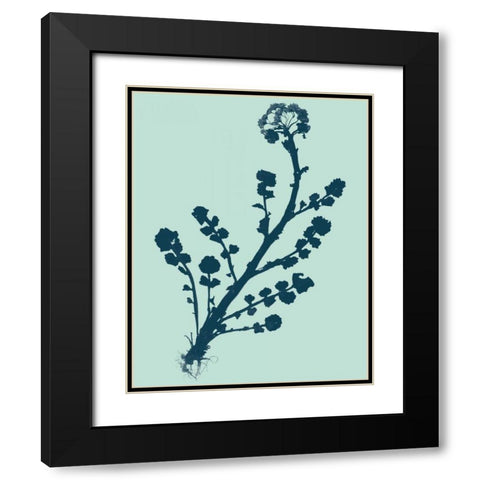 Indigo and Mint Botanical Study II Black Modern Wood Framed Art Print with Double Matting by Vision Studio