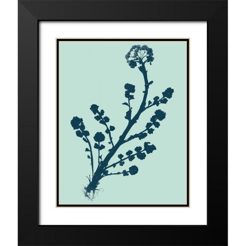 Indigo and Mint Botanical Study II Black Modern Wood Framed Art Print with Double Matting by Vision Studio