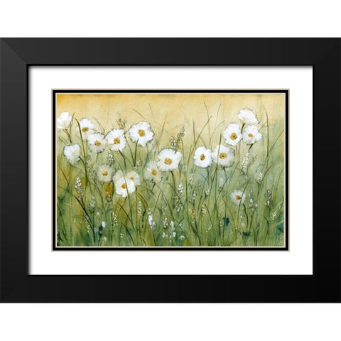 Daisy Spring II Black Modern Wood Framed Art Print with Double Matting by OToole, Tim