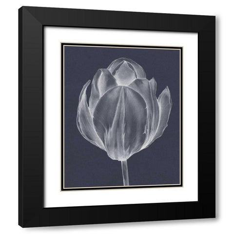 Monochrome Tulip I Black Modern Wood Framed Art Print with Double Matting by Goldberger, Jennifer