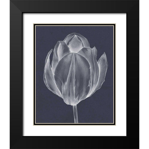 Monochrome Tulip I Black Modern Wood Framed Art Print with Double Matting by Goldberger, Jennifer