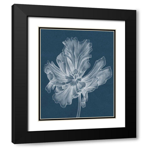 Monochrome Tulip II Black Modern Wood Framed Art Print with Double Matting by Goldberger, Jennifer