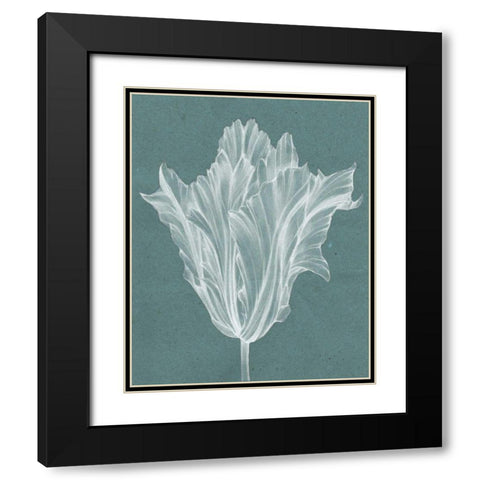 Monochrome Tulip V Black Modern Wood Framed Art Print with Double Matting by Goldberger, Jennifer