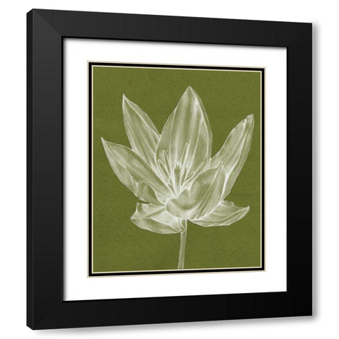 Monochrome Tulip VI Black Modern Wood Framed Art Print with Double Matting by Goldberger, Jennifer