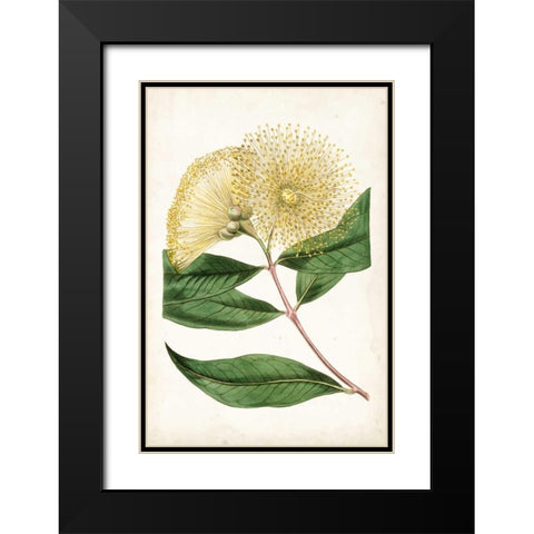Floral Lace I Black Modern Wood Framed Art Print with Double Matting by Curtis