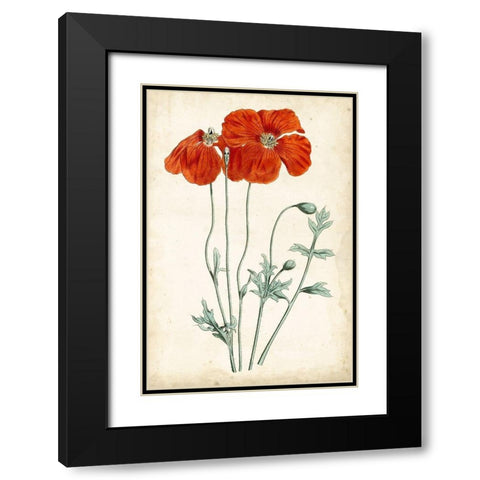 Tangerine Floral V Black Modern Wood Framed Art Print with Double Matting by Curtis