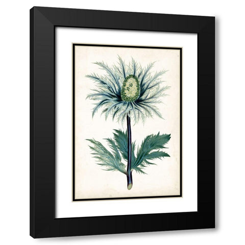 Curtis Blues I Black Modern Wood Framed Art Print with Double Matting by Curtis