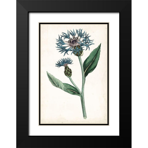 Curtis Blues II Black Modern Wood Framed Art Print with Double Matting by Curtis