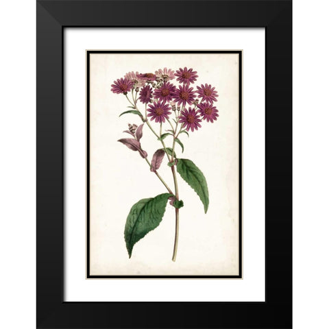 Lavender Florals IV Black Modern Wood Framed Art Print with Double Matting by Curtis