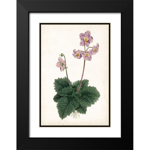 Lavender Florals V Black Modern Wood Framed Art Print with Double Matting by Curtis