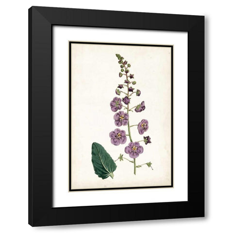 Lavender Florals VI Black Modern Wood Framed Art Print with Double Matting by Curtis