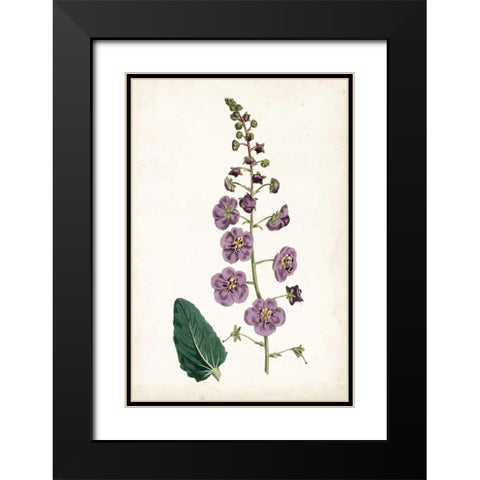 Lavender Florals VI Black Modern Wood Framed Art Print with Double Matting by Curtis