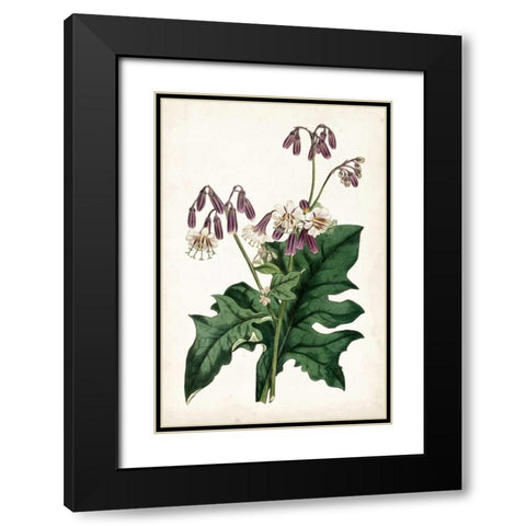 Lavender Florals VII Black Modern Wood Framed Art Print with Double Matting by Curtis