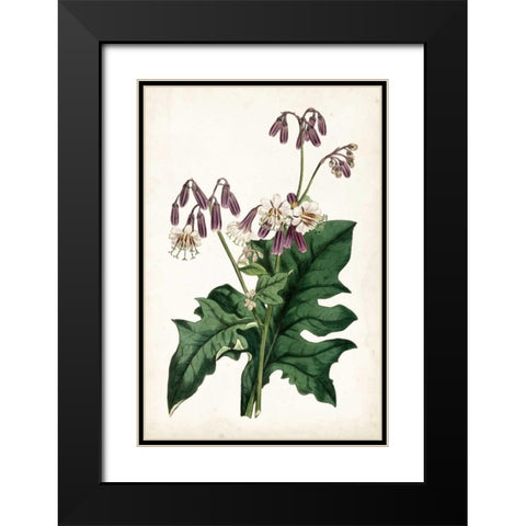 Lavender Florals VII Black Modern Wood Framed Art Print with Double Matting by Curtis