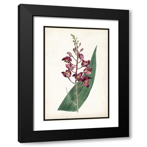 Lavender Florals VIII Black Modern Wood Framed Art Print with Double Matting by Curtis