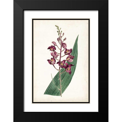 Lavender Florals VIII Black Modern Wood Framed Art Print with Double Matting by Curtis