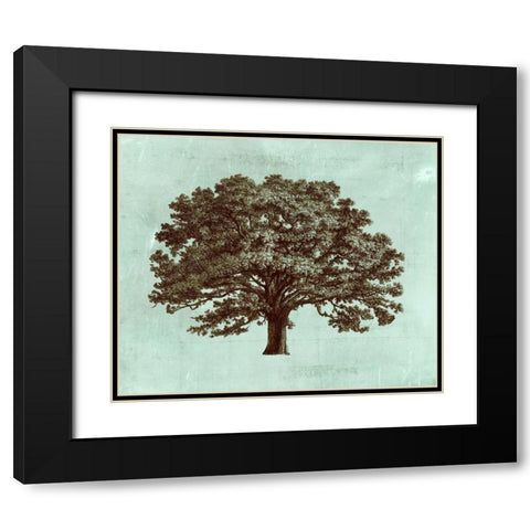 Spa Tree I Black Modern Wood Framed Art Print with Double Matting by Vision Studio