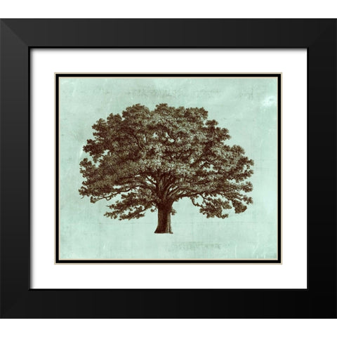Spa Tree I Black Modern Wood Framed Art Print with Double Matting by Vision Studio