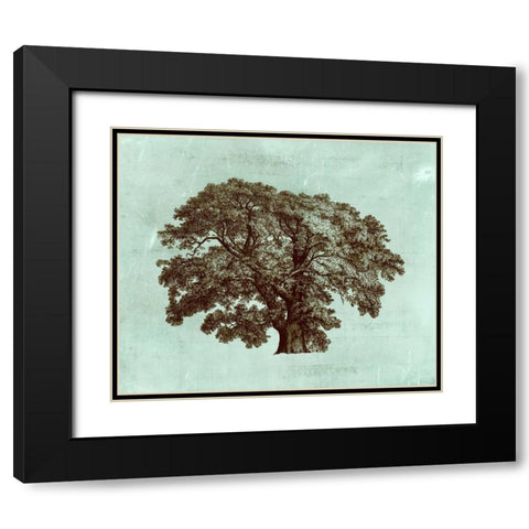 Spa Tree II Black Modern Wood Framed Art Print with Double Matting by Vision Studio