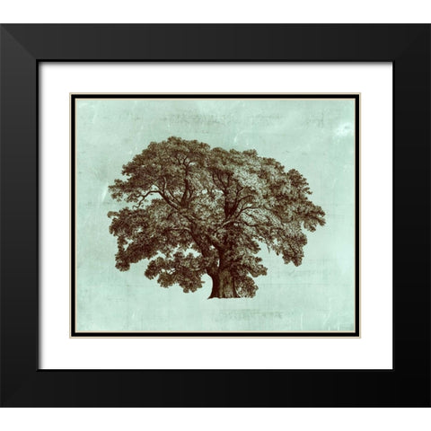 Spa Tree II Black Modern Wood Framed Art Print with Double Matting by Vision Studio