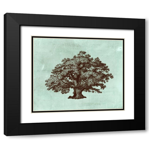 Spa Tree III Black Modern Wood Framed Art Print with Double Matting by Vision Studio