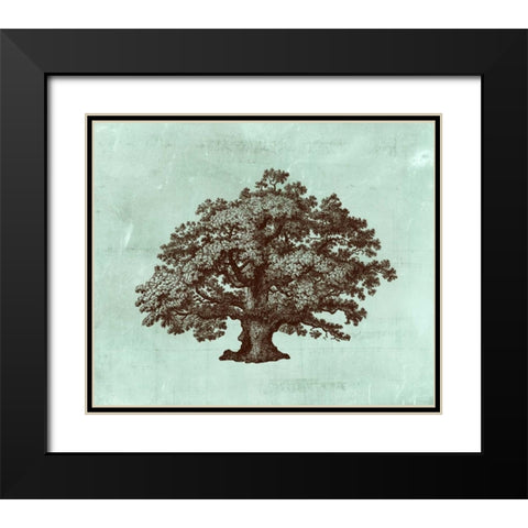 Spa Tree III Black Modern Wood Framed Art Print with Double Matting by Vision Studio